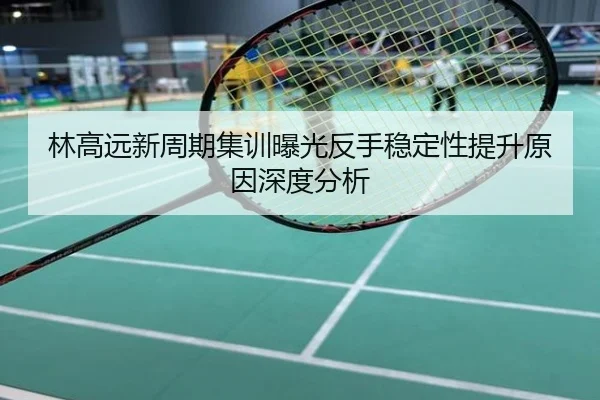 林高远新周期集训曝光反手稳定性提升原因深度分析