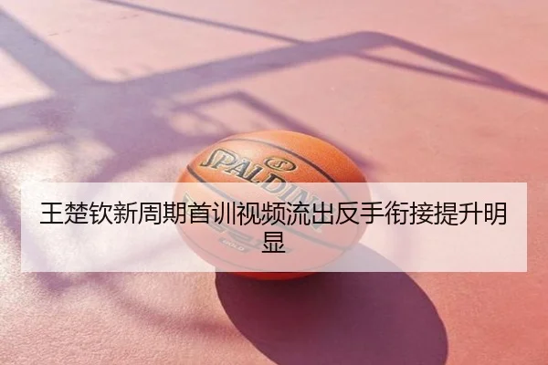 王楚钦新周期首训视频流出反手衔接提升明显